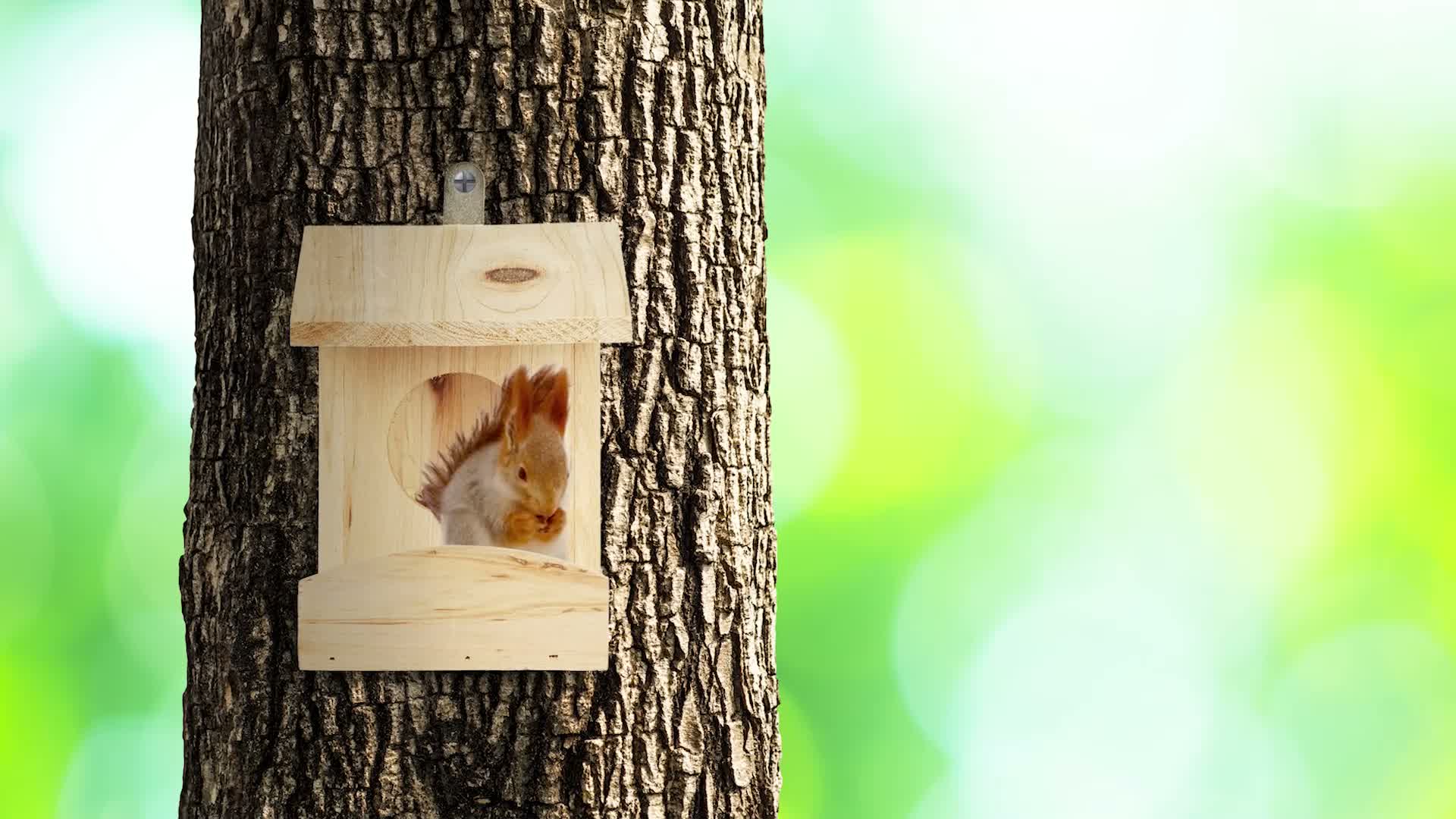 Relaxdays Eichhörnchen Futterhaus zum Hängen, Aus Holz, Produktbild-Vorschau 7