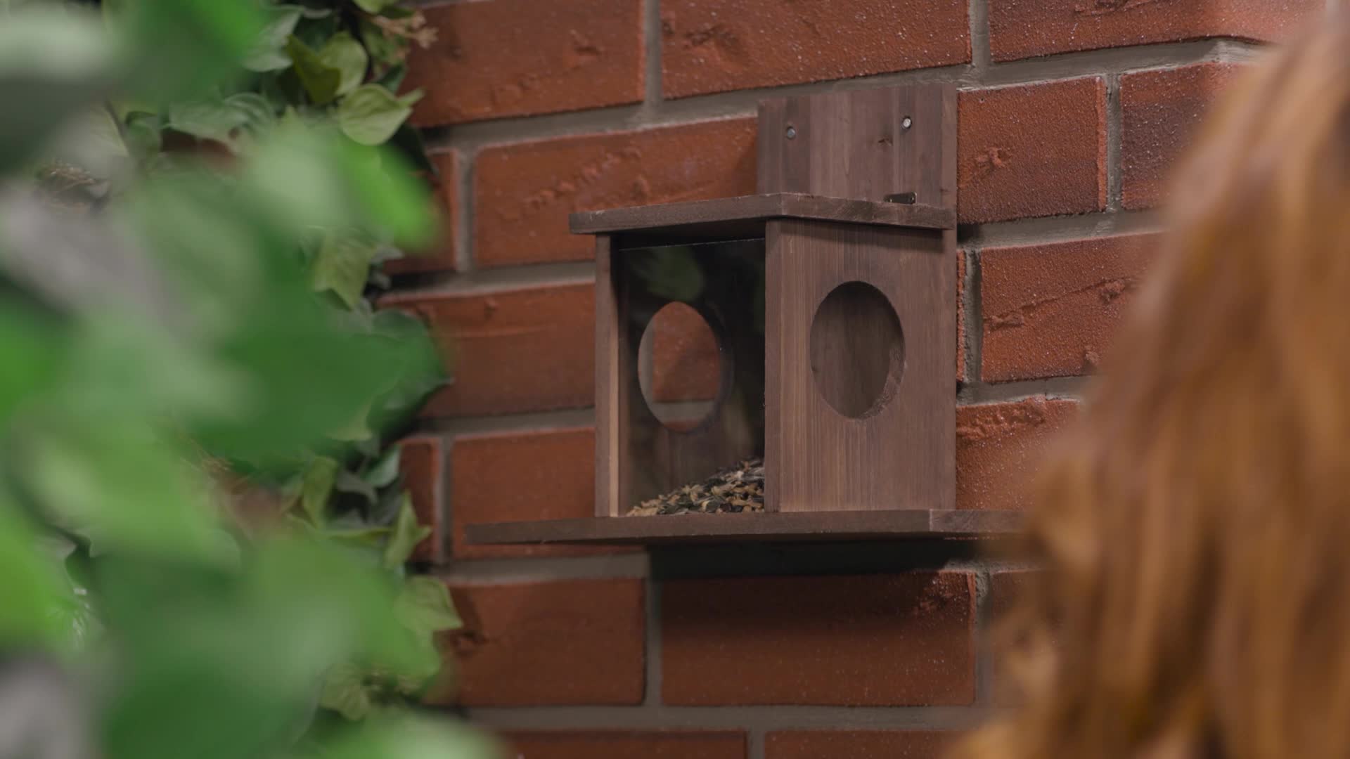 Relaxdays Eichhörnchen Futterhaus, Holz, 2 Eingänge & Produktbild-Vorschau 7