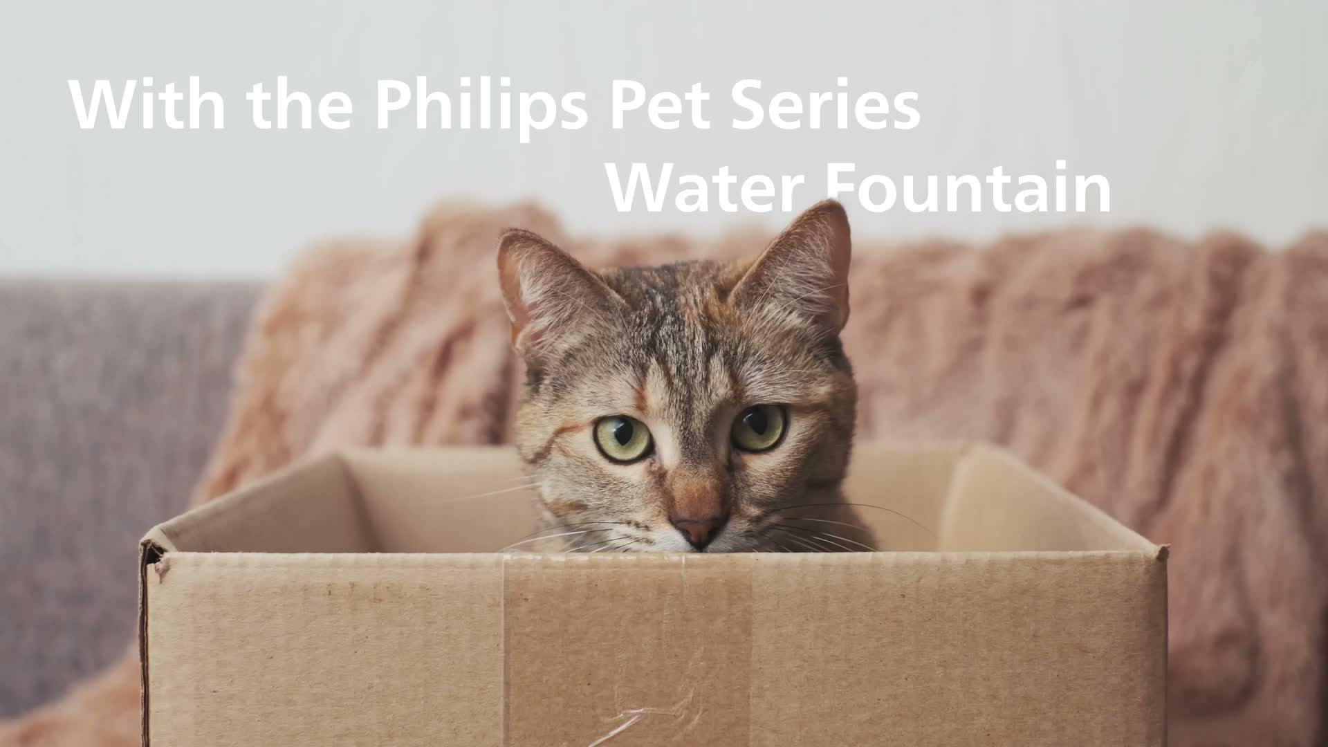 Philips Trinkbrunnen für Haustierpflege mit Filtersystem, Produktbild-Vorschau 3