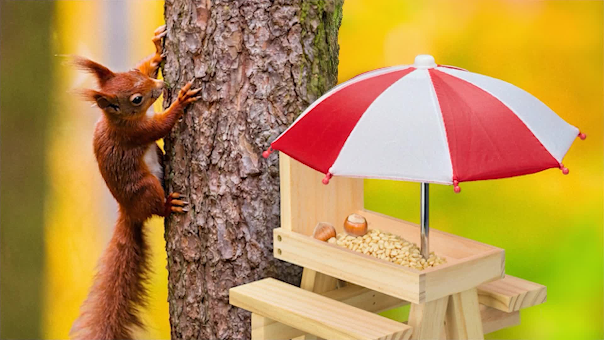 Relaxdays Eichhörnchen Tisch, Holz, Eichhörnchenbank mit 2 Produktbild-Vorschau 7