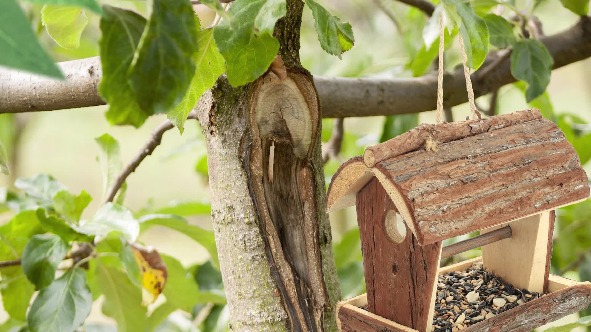 Relaxdays Vogelfutterhaus, Holz, Futterhaus zum Aufhängen, Produktbild-Vorschau 7