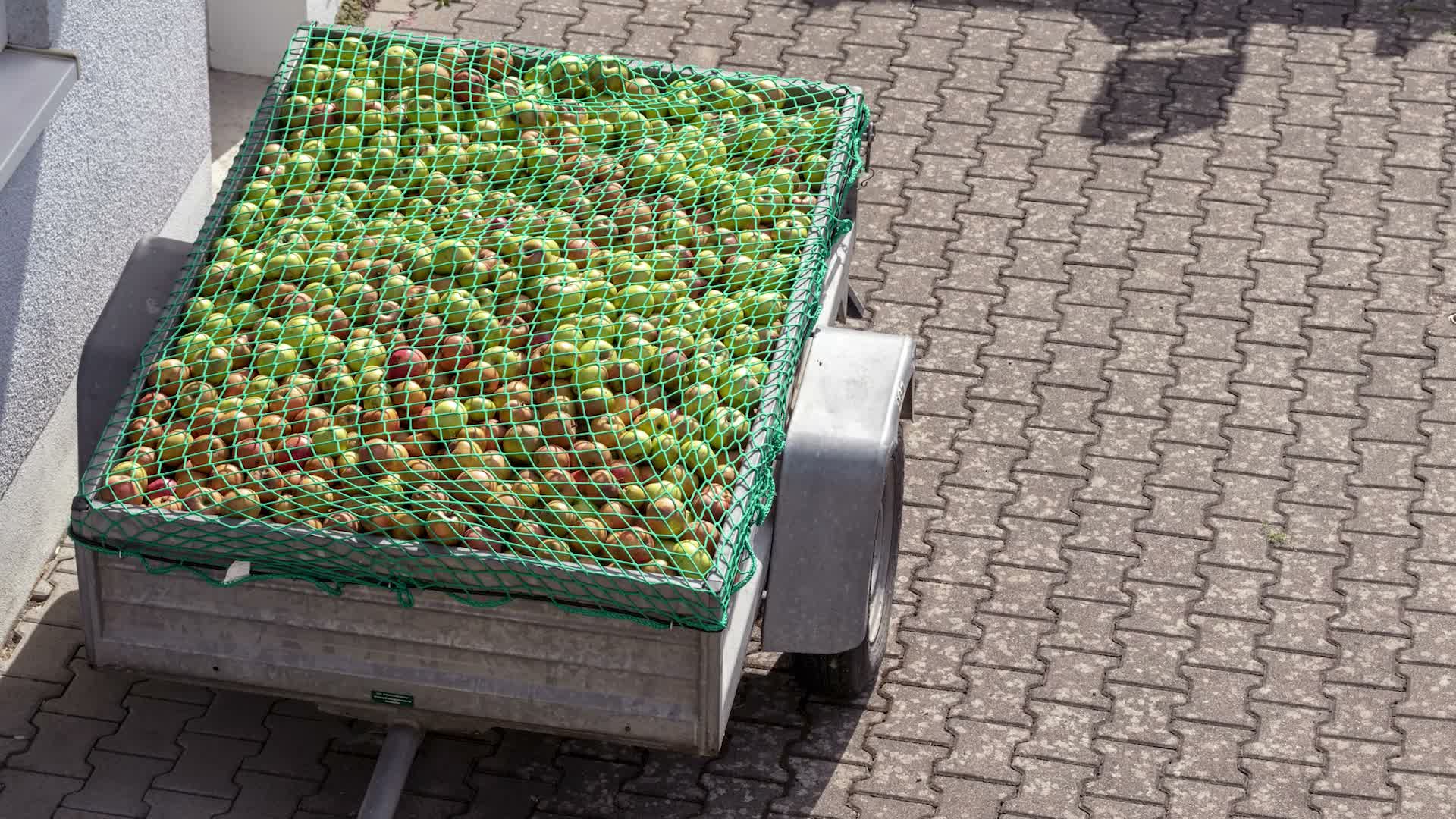 Relaxdays Anhängernetz 2,5 x 3,5 m, mit 10 Haken, Produktbild-Vorschau 7