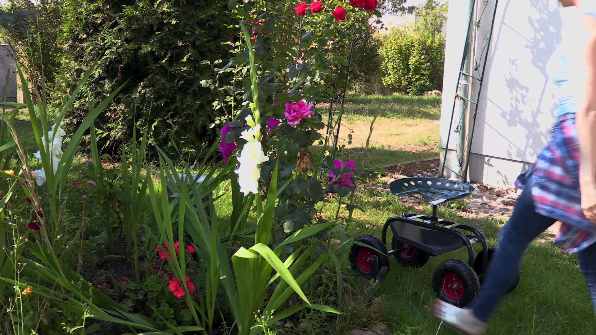 Relaxdays Sackkarrenrad 2er Set, 4.10 3.50-4, luftbereift, Produktbild-Vorschau 7