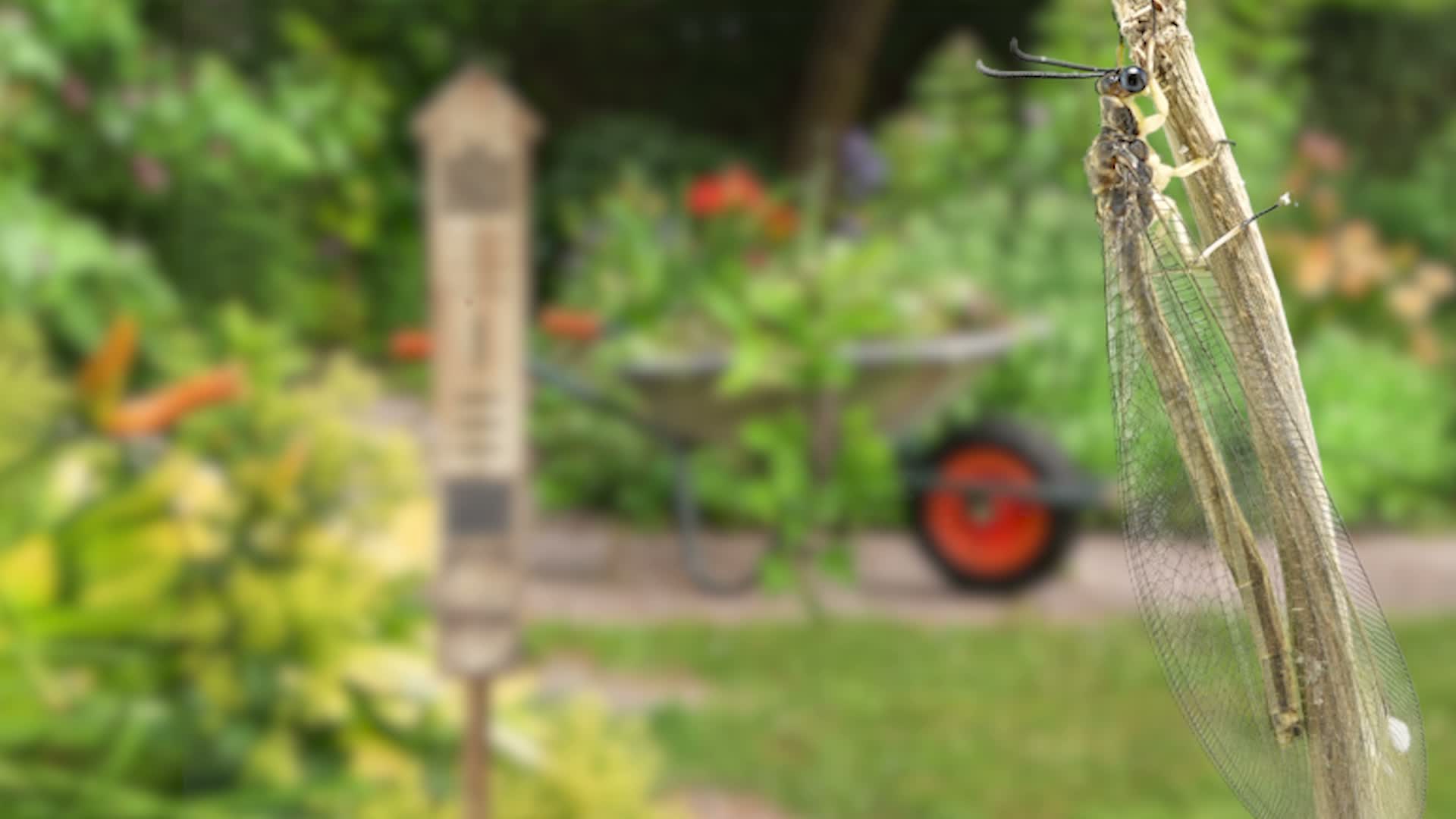 Relaxdays Insektenhotel mit Ständer, Holz, Insektenhaus Produktbild-Vorschau 7