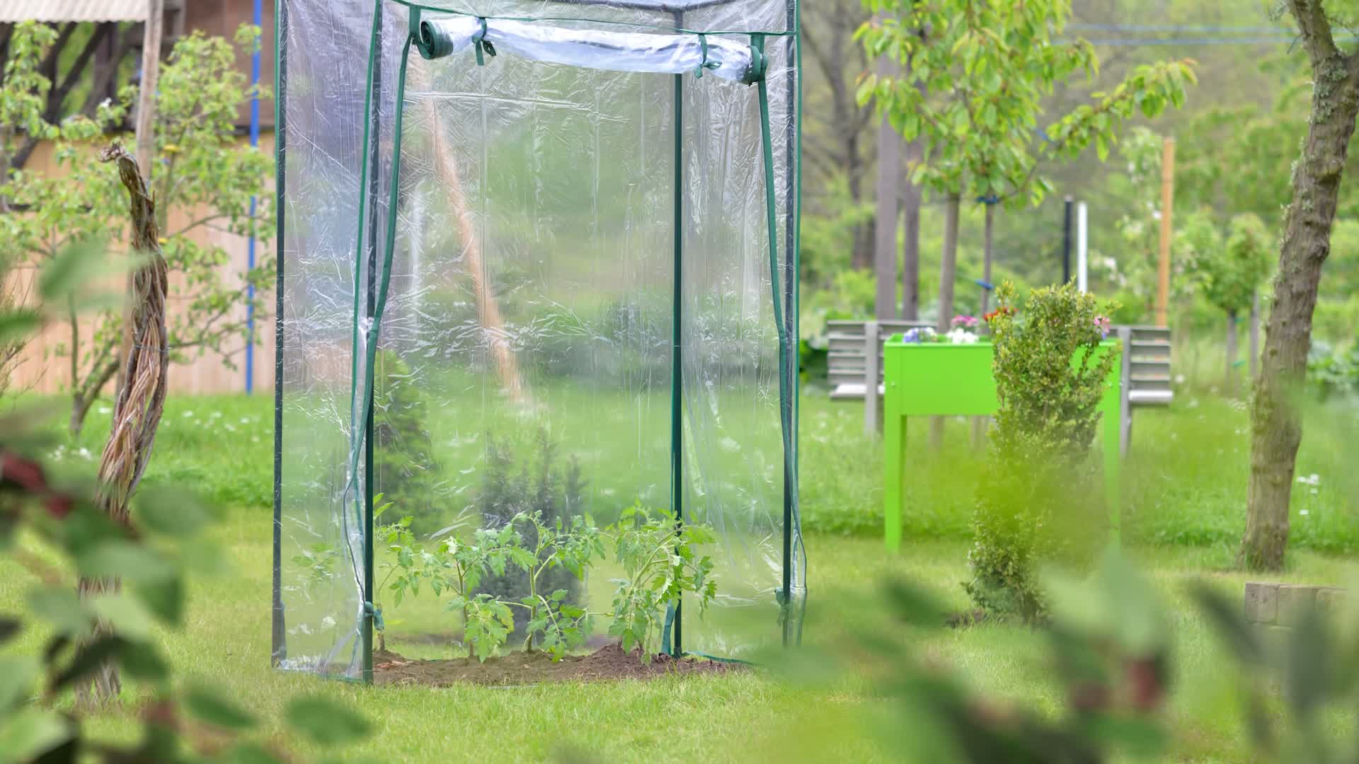 Relaxdays Tomatengewächshaus, Stahl & PVC-Folie, HBT: 150 x Produktbild-Vorschau 7