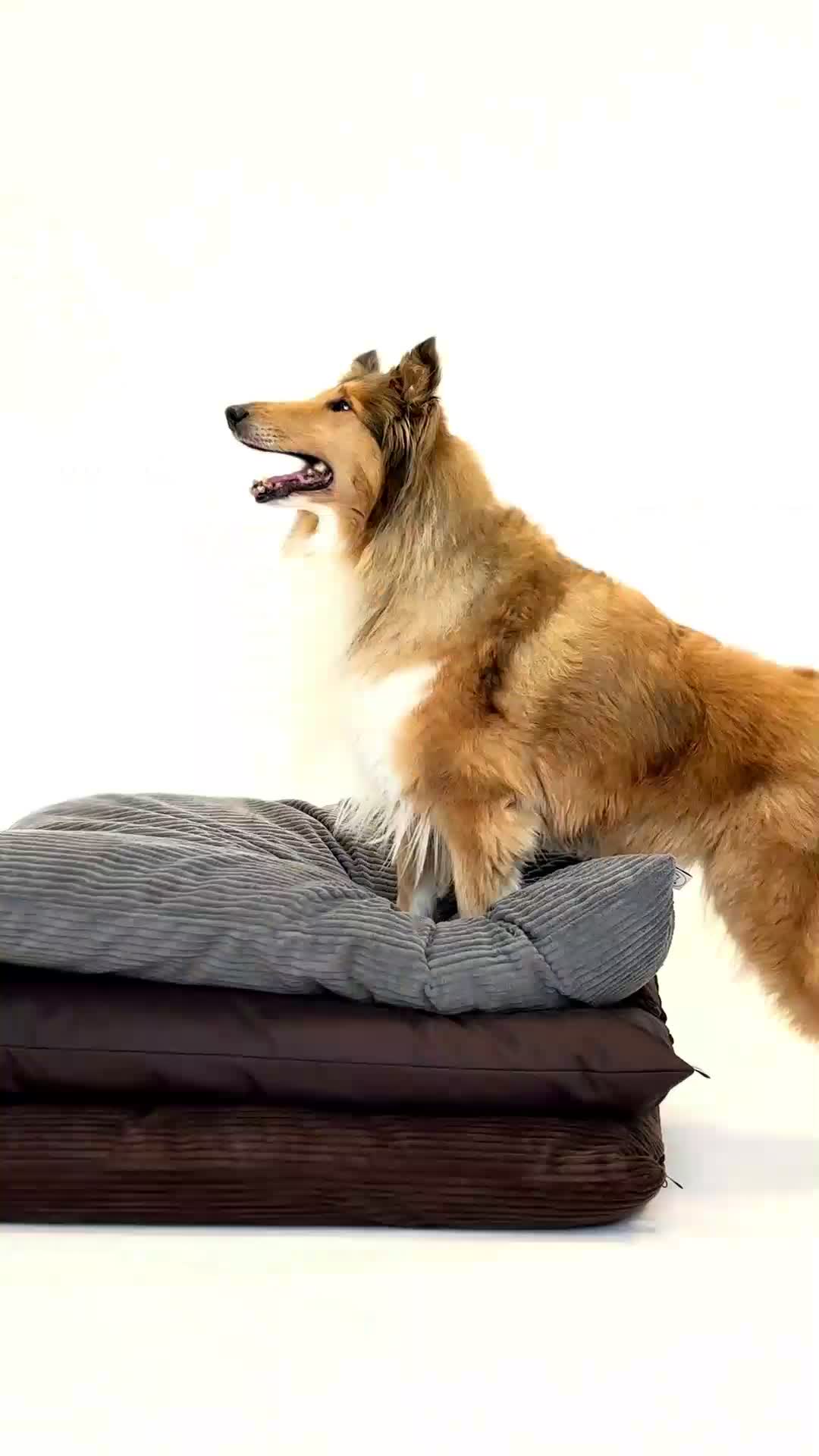4L Textil Ersatzbezug aus Cord für Hundebett MOLLY Produktbild-Vorschau 7