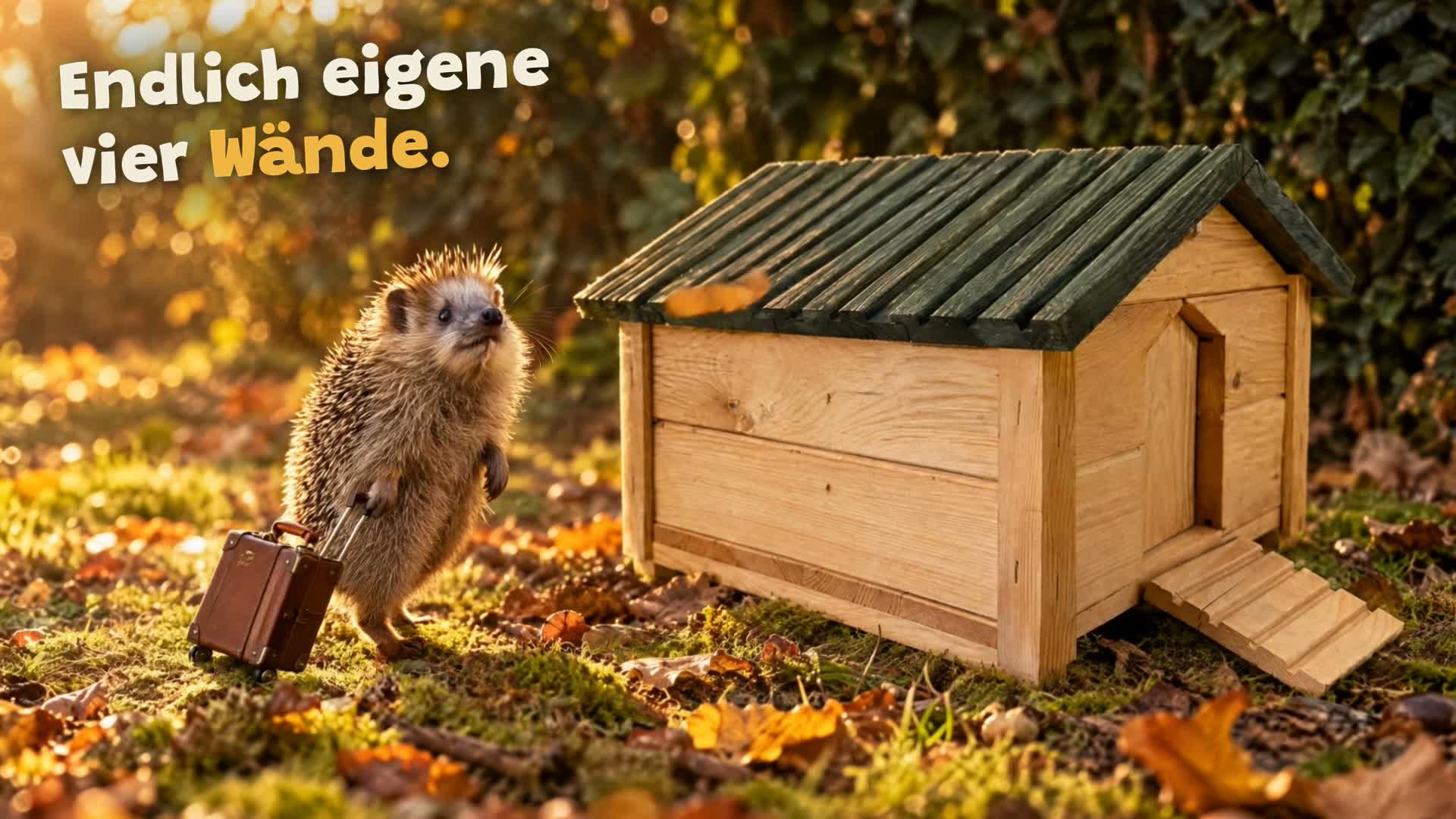 zooprinz Igelhaus Milo aus Holz mit Pendelklappe, Rampe und Produktbild-Vorschau 7