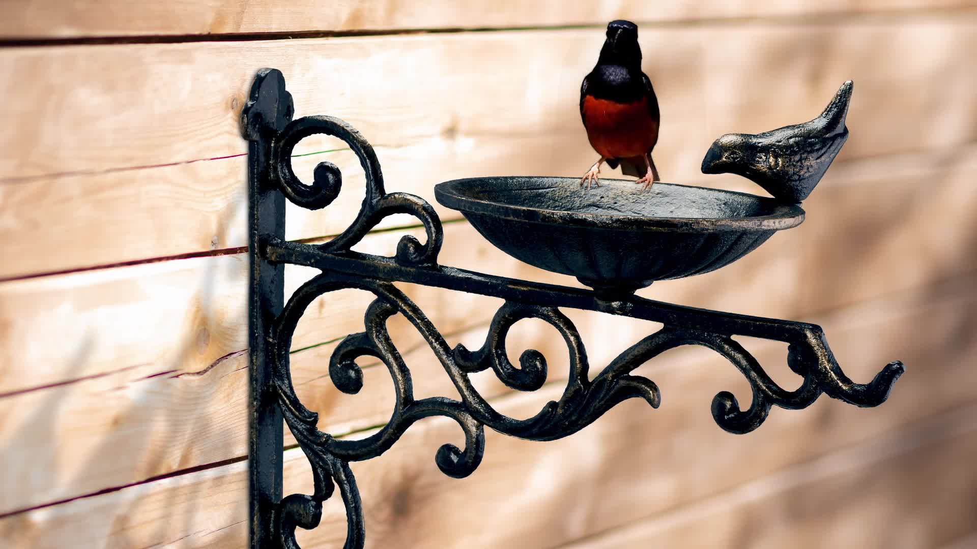 Relaxdays Vogeltränke Gusseisen, Wandmontage, wetterfest, Produktbild-Vorschau 7