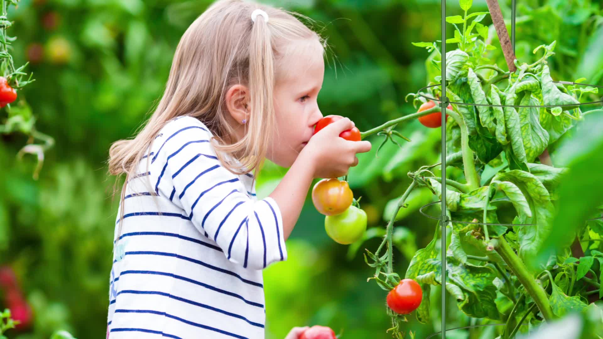 Relaxdays Rankhilfe, 2er Set, Tomatensäule für Garten & Produktbild-Vorschau 7