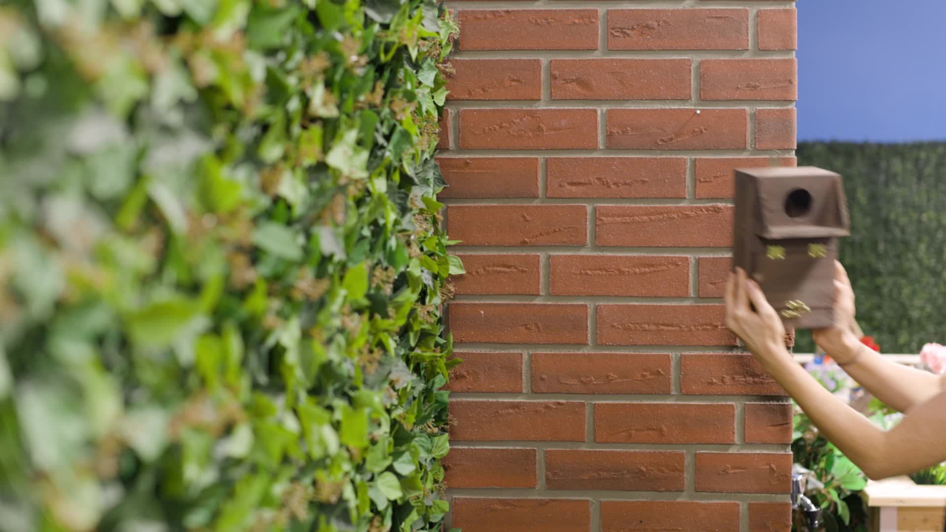 Relaxdays Nistkasten für Kohlmeise & Gartenrotschwanz, mit Produktbild-Vorschau 7