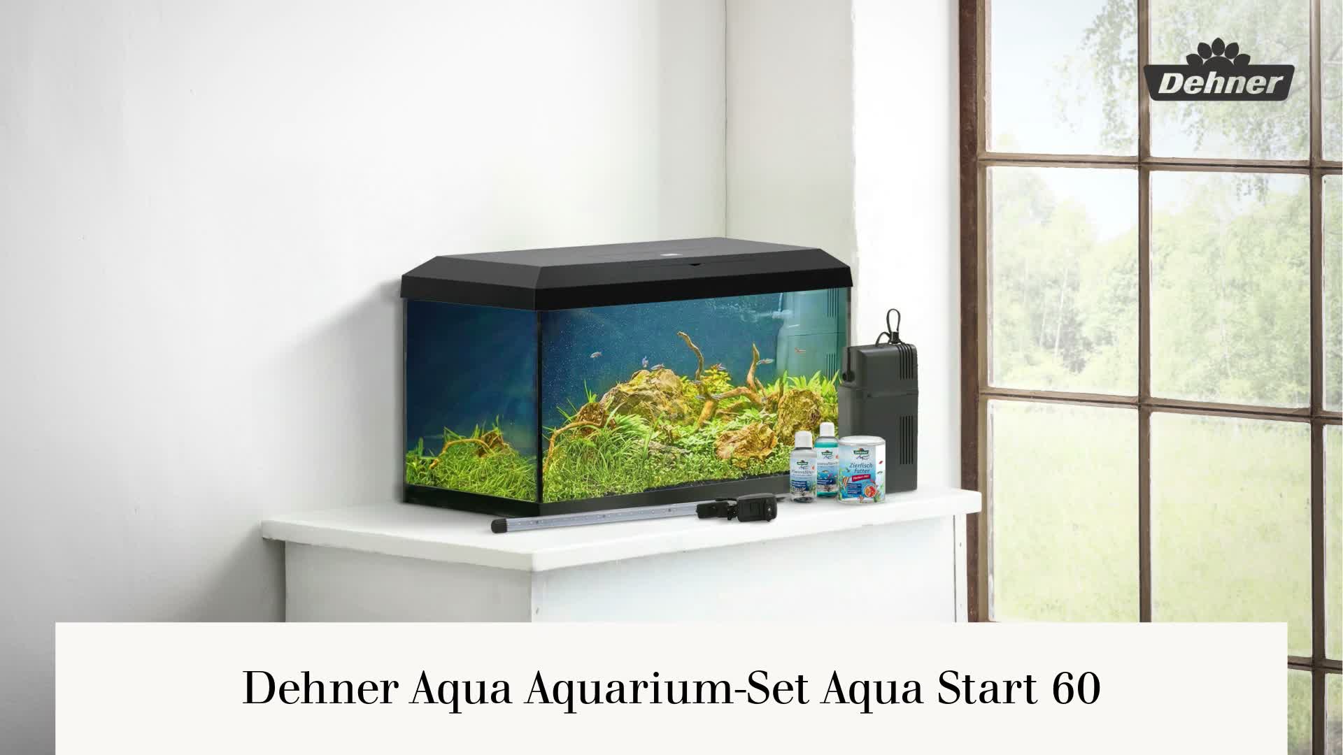 Dehner Aqua Aquarium Starterset 60, ca. 61 x 31 x 37 cm