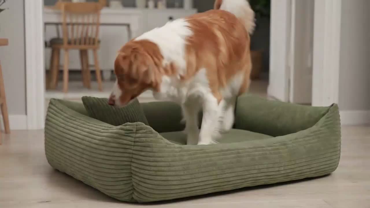 4L Textil MOLLY Hundebett aus Cord mit Rand, komplett Produktbild-Vorschau 7