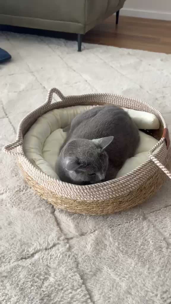 Katzenbett aus Rattan 48 cm mit waschbarem Kissen und Produktbild-Vorschau 7