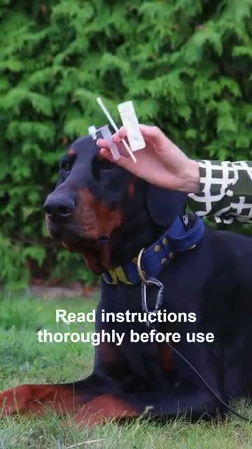Stuhlblut Schnelltest Hund – Stuhltest auf okkultes Blut Produktbild-Vorschau 4