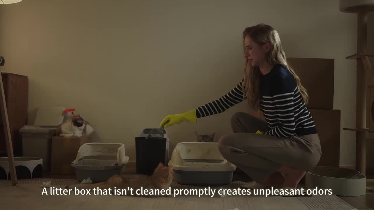 Selbstreinigende Katzentoilette mit großem Produktbild-Vorschau 7