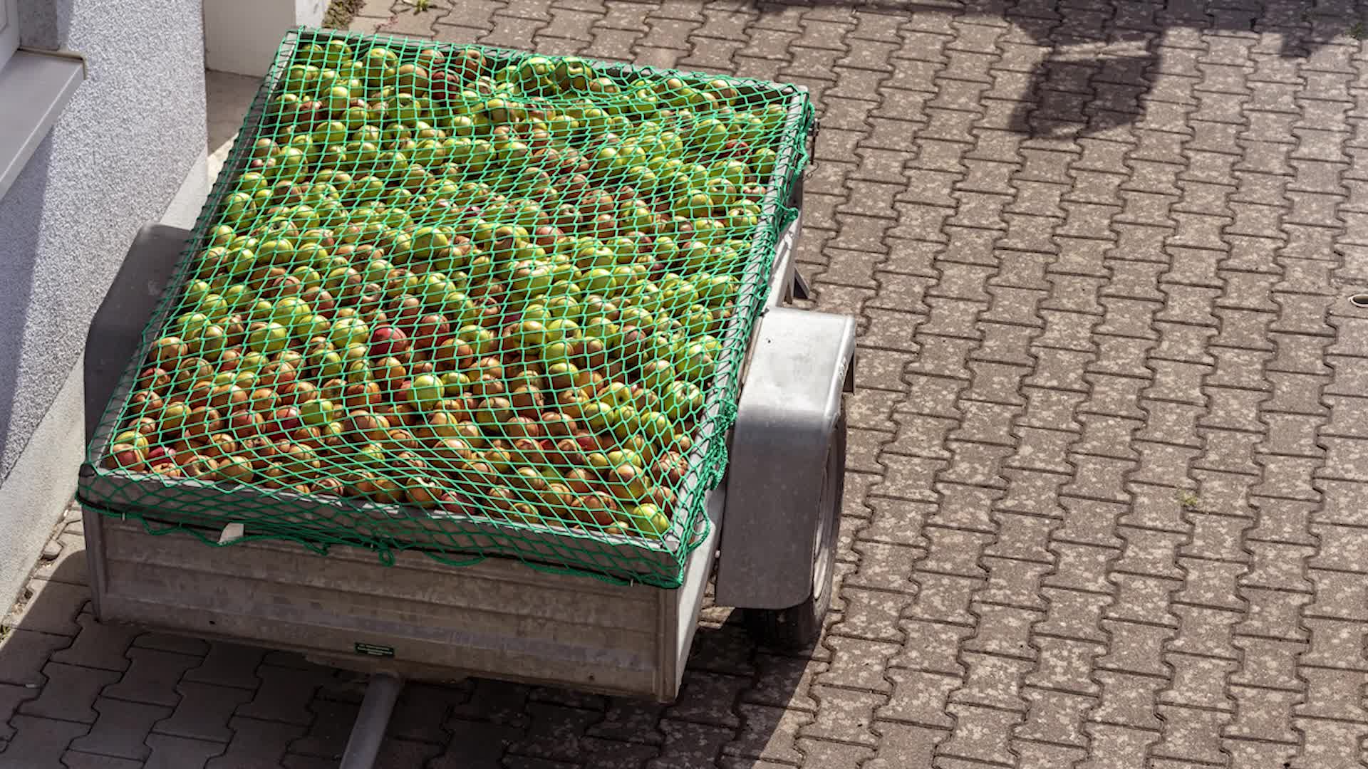 Relaxdays Anhängernetz, 1,5 x 2,2 m, mit 6 Haken, Produktbild-Vorschau 7