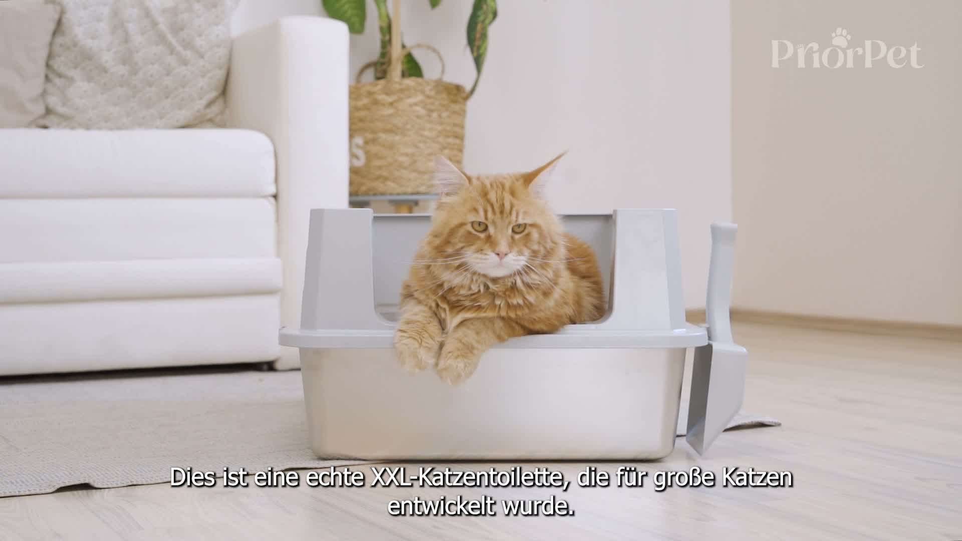 Katzenklo Edelstahl XXL Groß – Katzentoilette Edelstahl für Produktbild-Vorschau 7