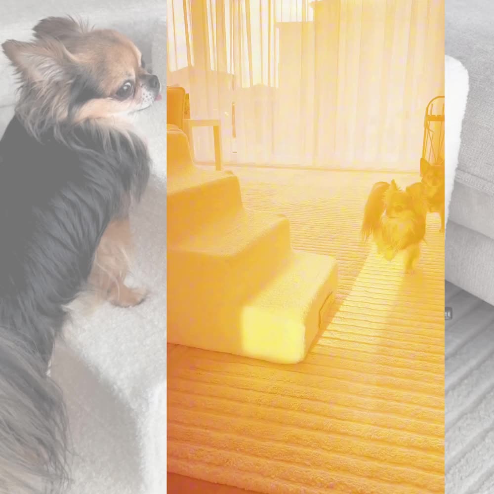 Dogeste schůdky pro psy a kočky, 4 stupně, 45 cm, Náhled obrázku produktu 7