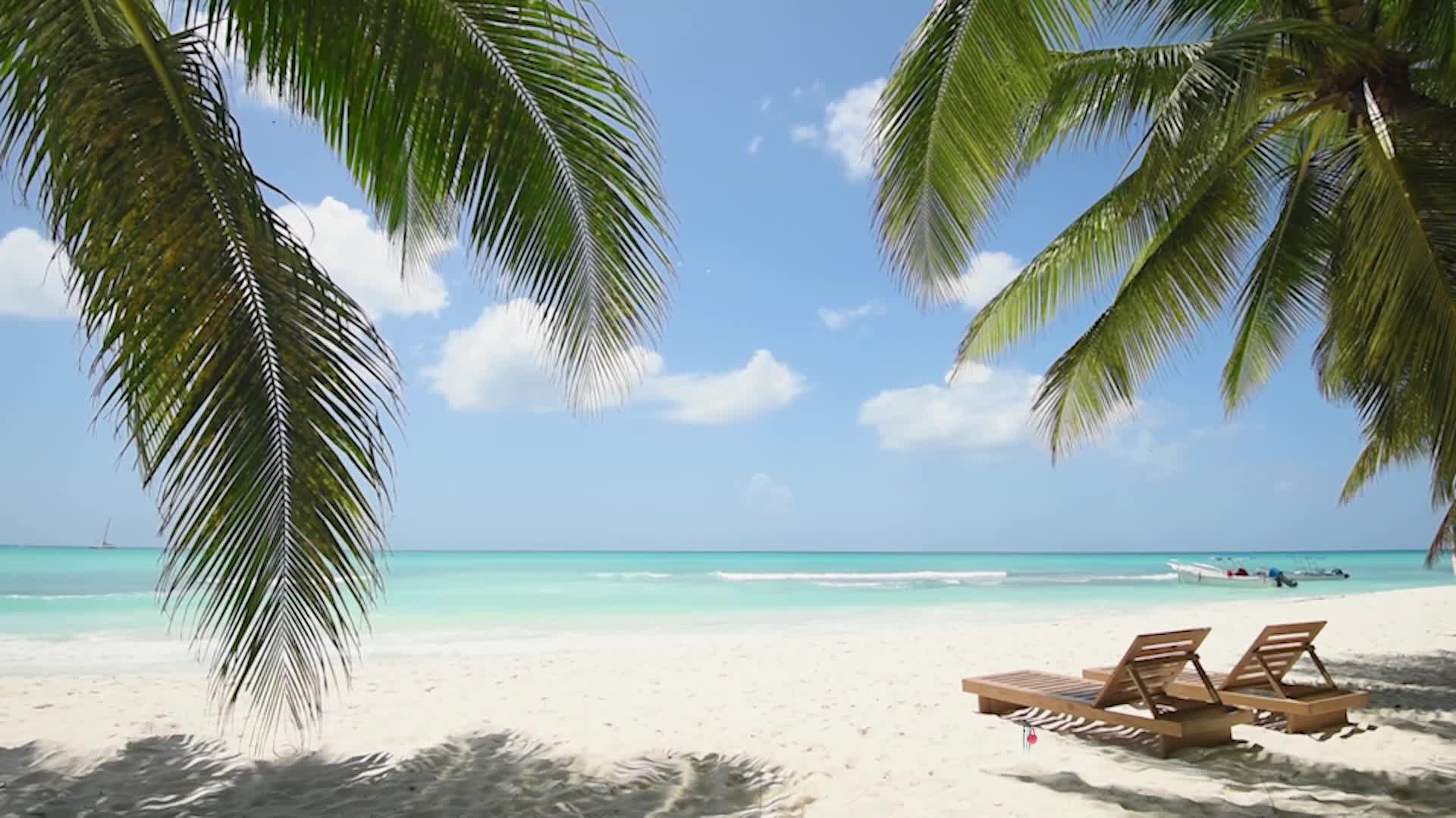 Relaxdays Bodenhülse, 2er Set, Sonnenschirm & Wäschespinne, Produktbild-Vorschau 7