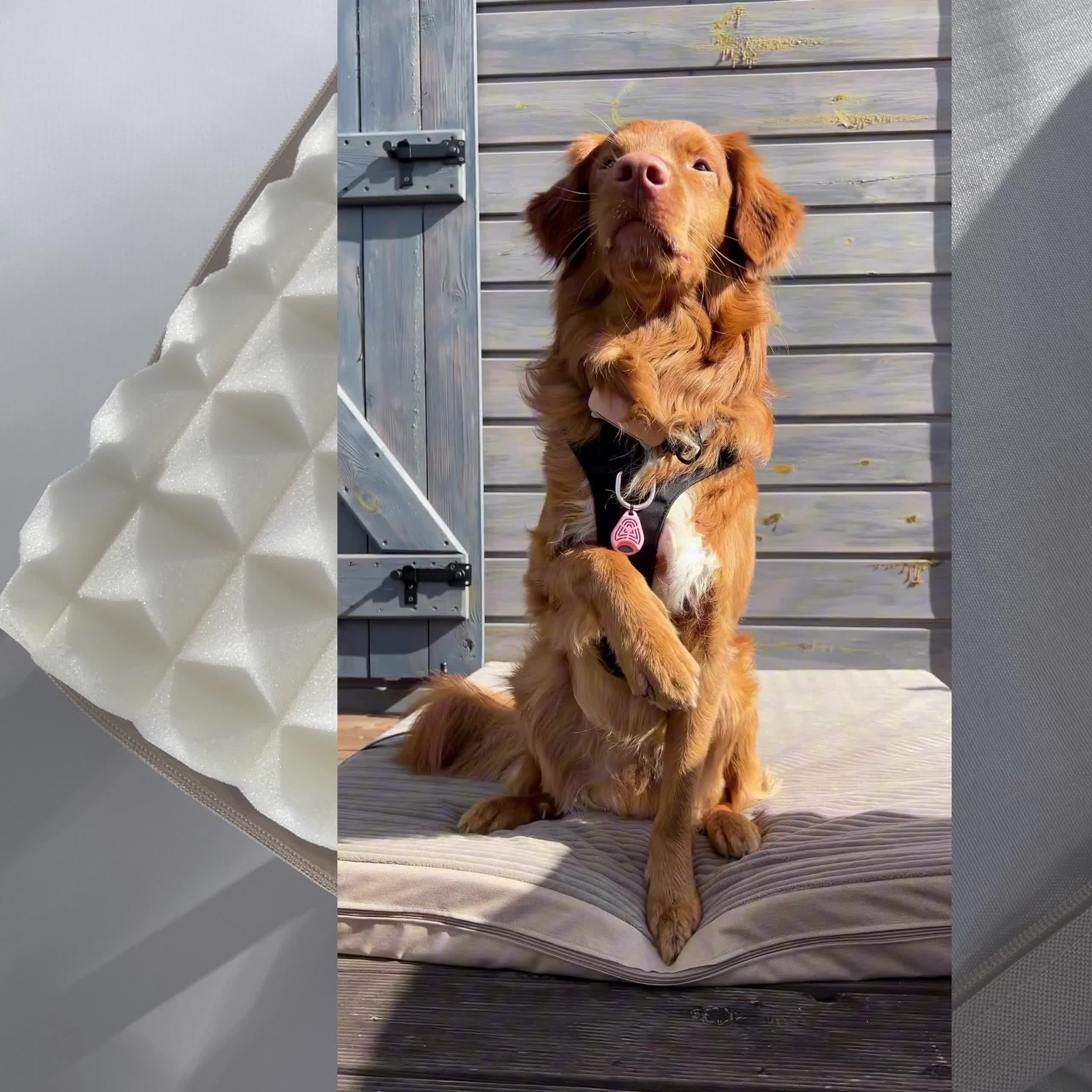 Legowisko ortopedyczne Dogeste XL 90x70 cm materac ze Podgląd zdjęcia produktu 7