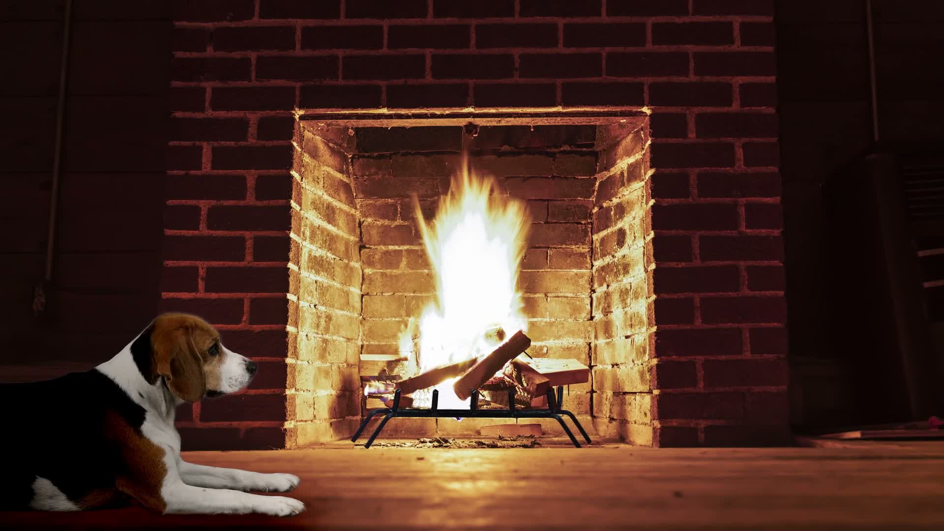 Relaxdays Kaminrost, eckig, Stahl, Kamin & Grillkamin, Produktbild-Vorschau 7