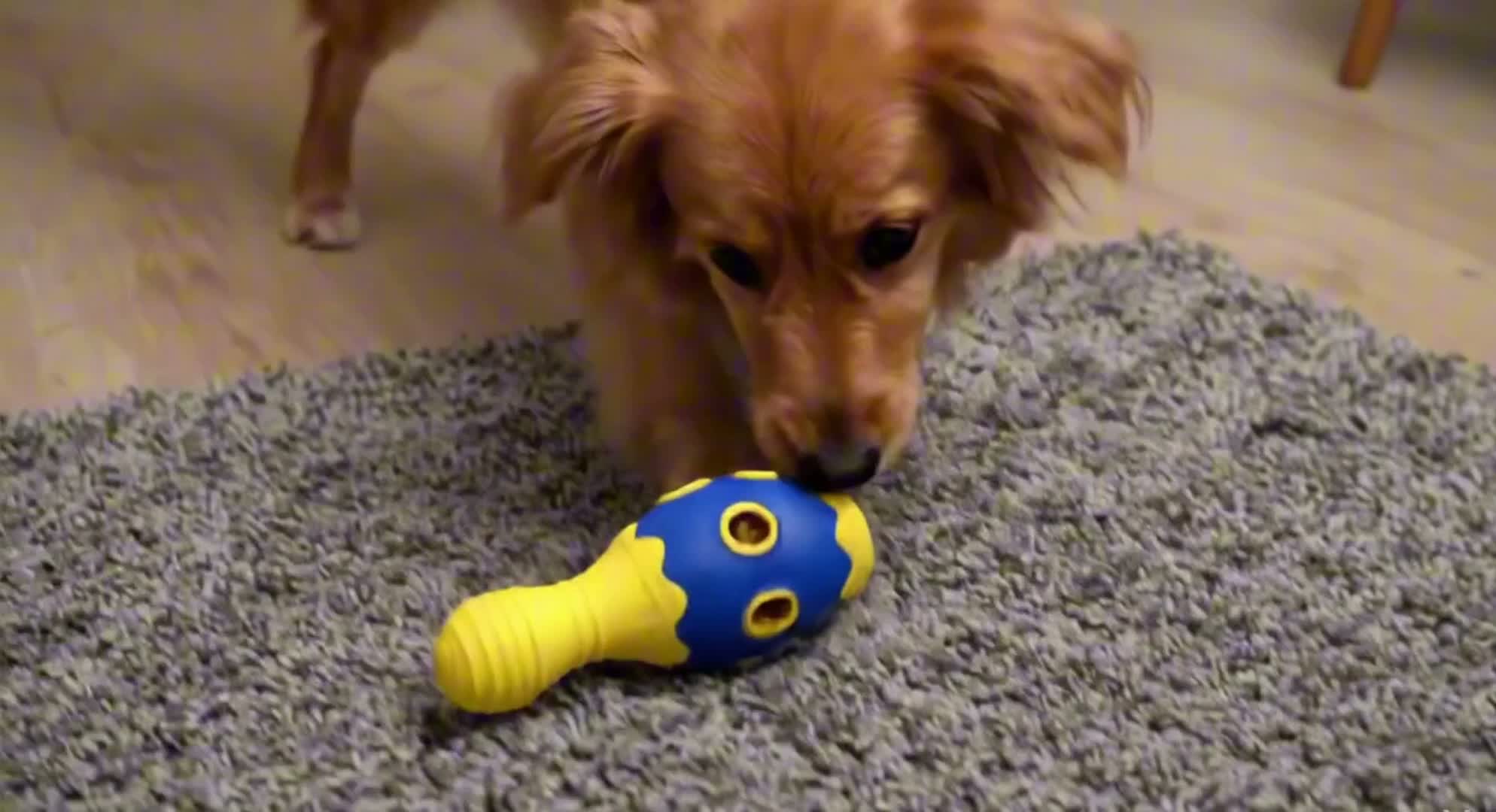 Bowlingkegel - Hundespielzeug zum Befüllen mit Leckerchen Produktbild-Vorschau 3
