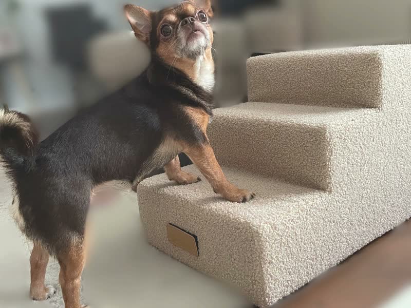 Hundetreppe 4 Stufen personalisiert mit Namen, Produktbild-Vorschau 7