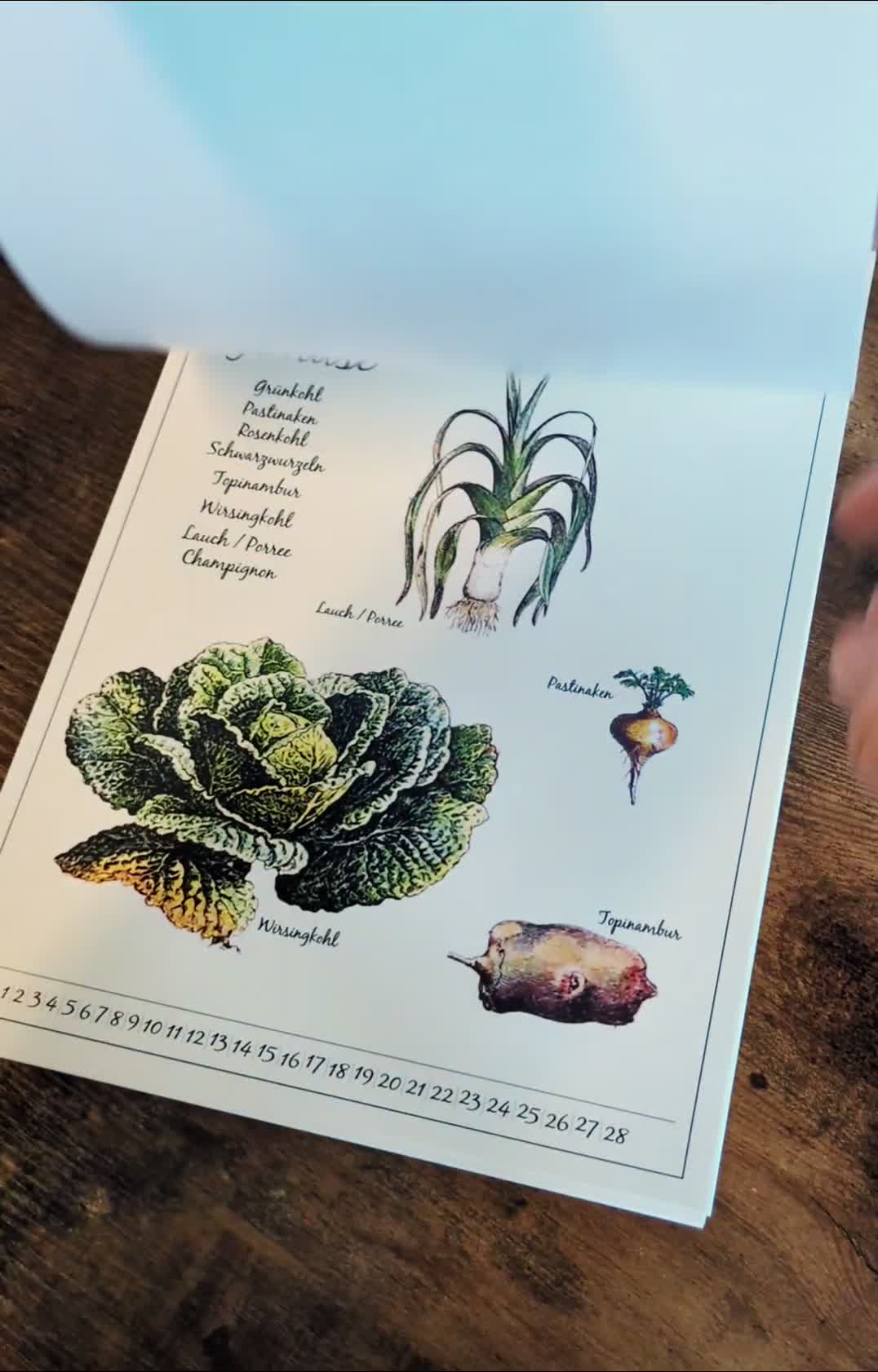 Saisonkalender Obst und Gemüse A4 | Gemüse Kalender Produktbild-Vorschau 7
