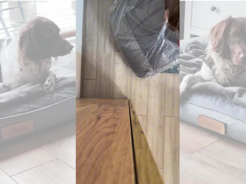 Hundebett XXL personalisiert mit Namen 118x78 cm – großes Produktbild-Vorschau 7