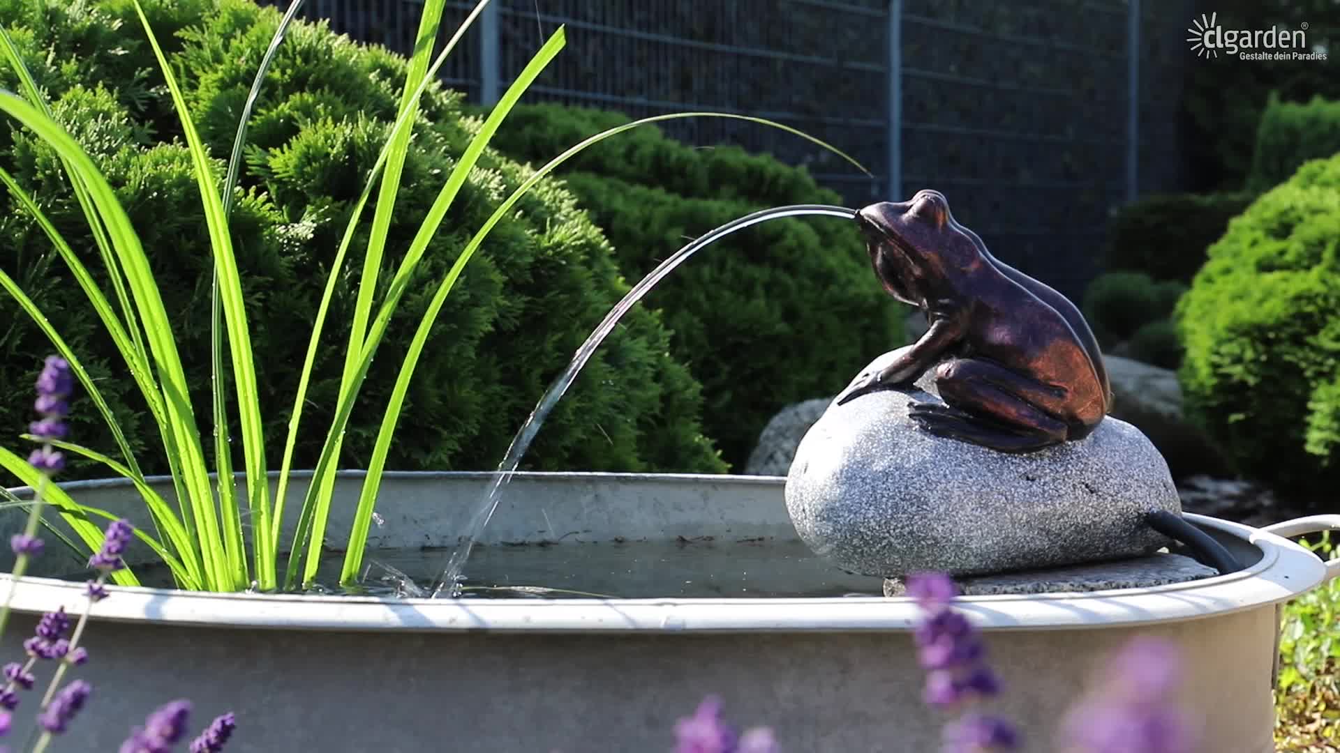 CLGarden Wasserspeier Komplettset Frosch auf einem Stein Produktbild-Vorschau 7