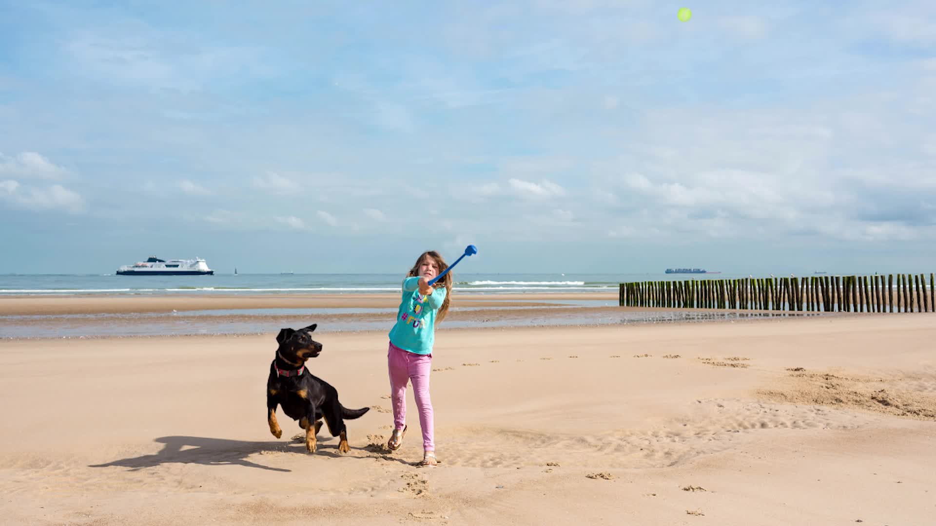 Relaxdays Ballschleuder für Hunde, 2er Set Ballwerfer, Produktbild-Vorschau 7
