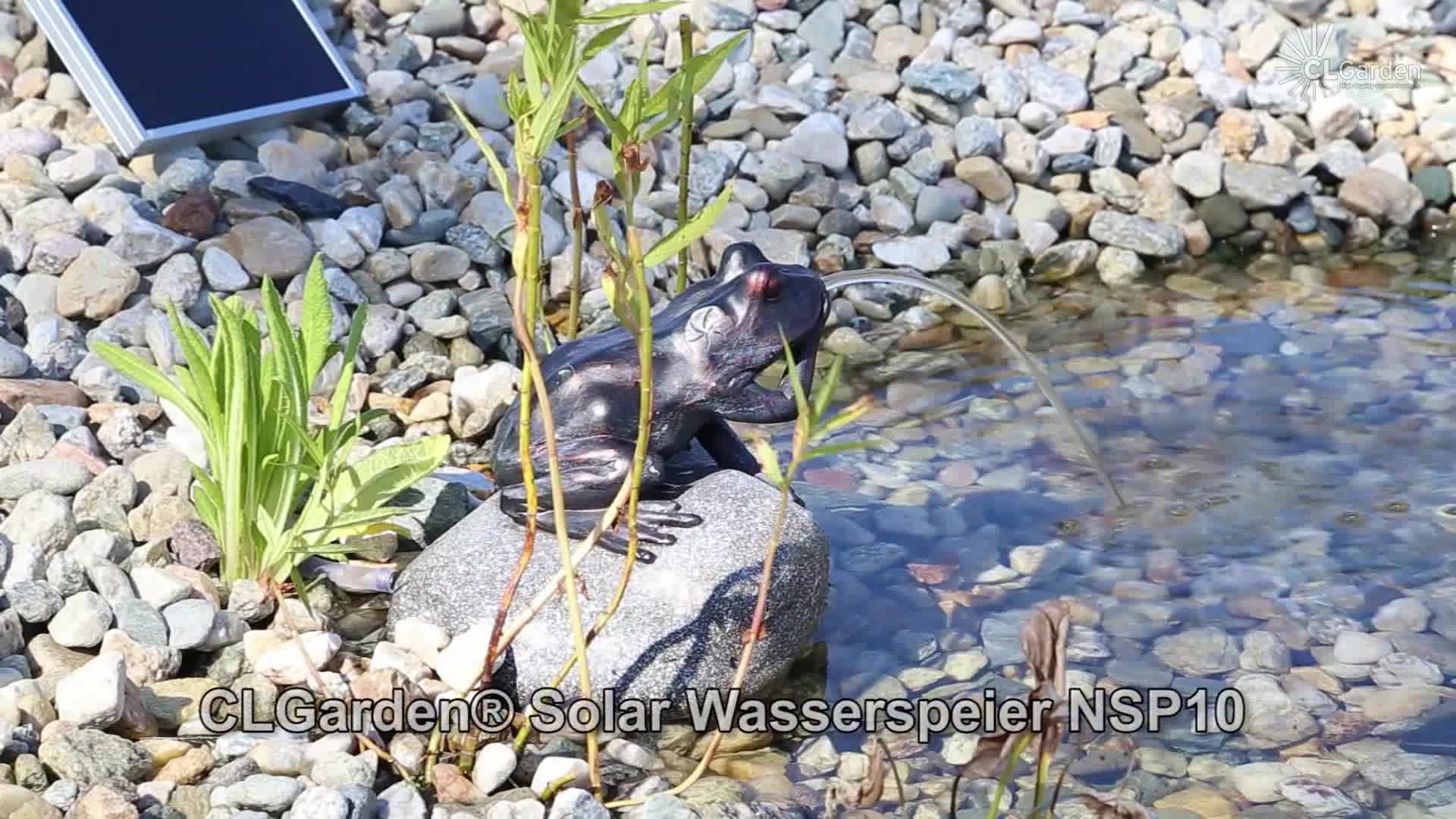 CLGarden Set Frosch Wasserspeier NSP10 Teichfigur Produktbild-Vorschau 7