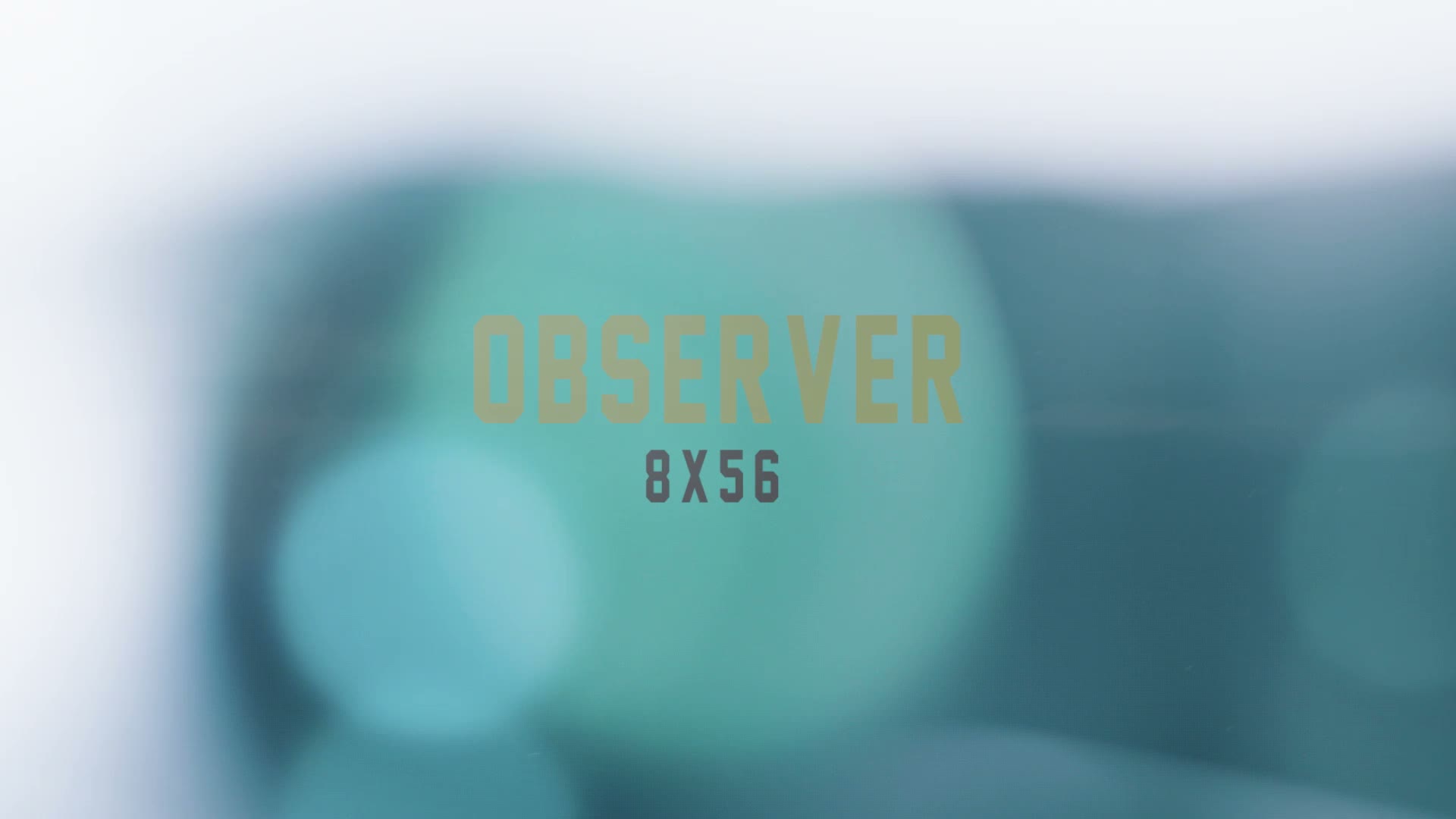 Steiner Observer 10x42, 10x, 4,2 cm, Wasserfest, 706 g Produktbild-Vorschau 7