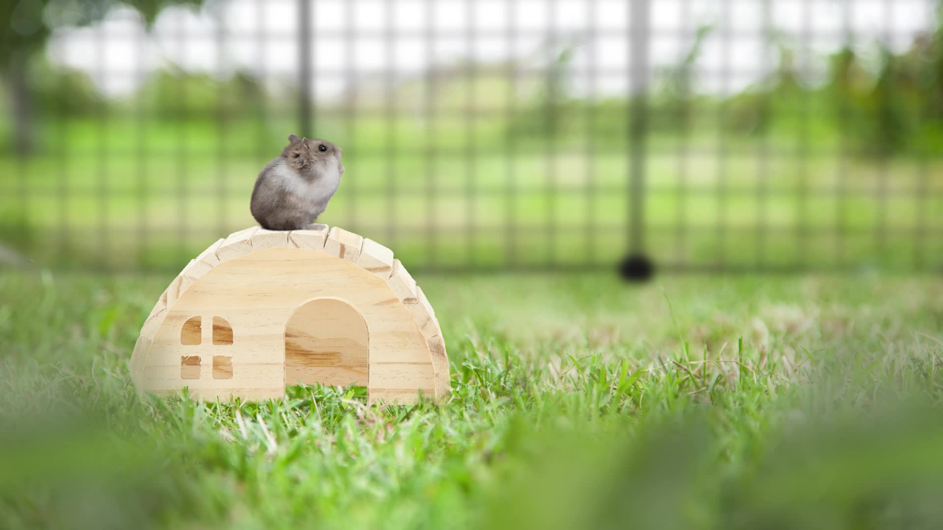 Relaxdays Hamsterhaus aus Holz, Käfigzubehör für Produktbild-Vorschau 7