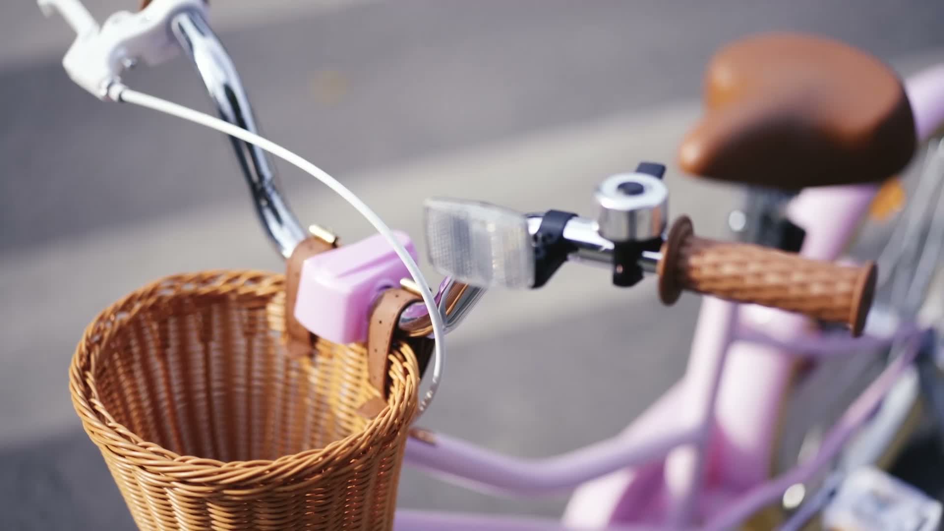 KEANO Prinzessin Kinderfahrrad für Mädchen in 12,16,20 Produktbild-Vorschau 7