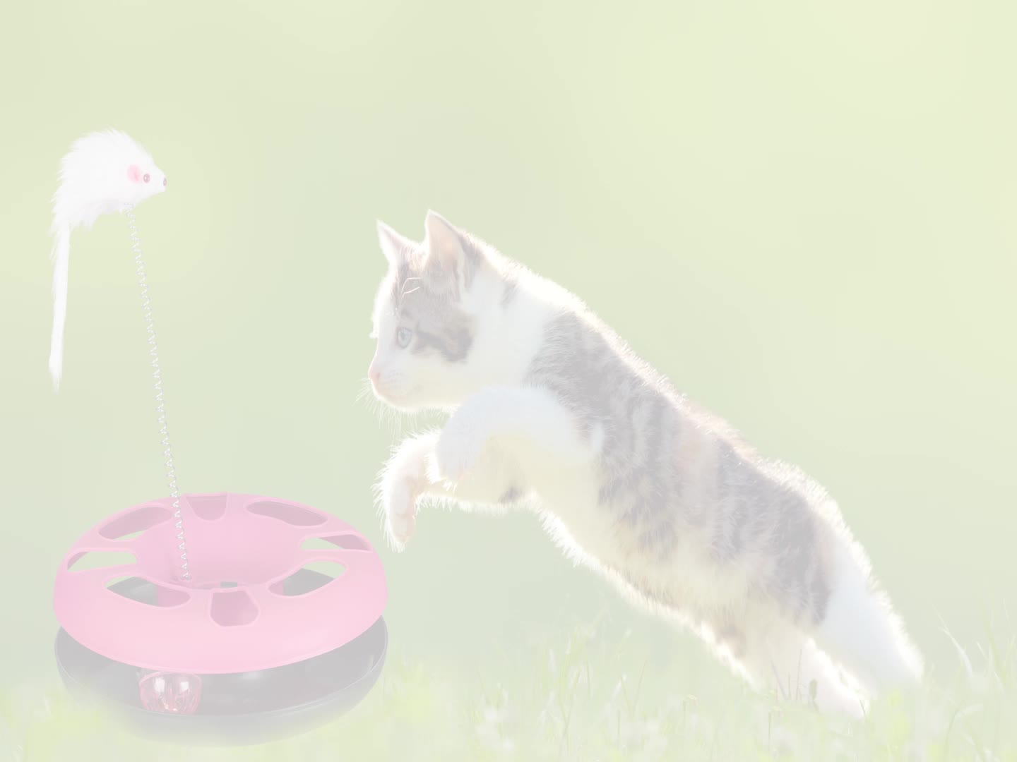 relaxdays Katzenspielzeug mit Maus Produktbild-Vorschau 7