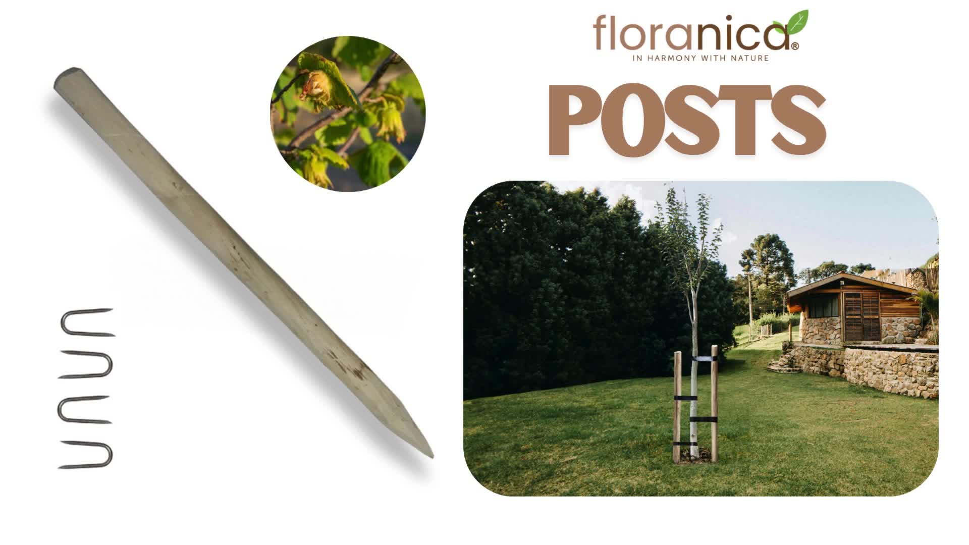Floranica 6 x lískový dřevěný sloupek výška 150 cm, dřevěný Náhled obrázku produktu 2