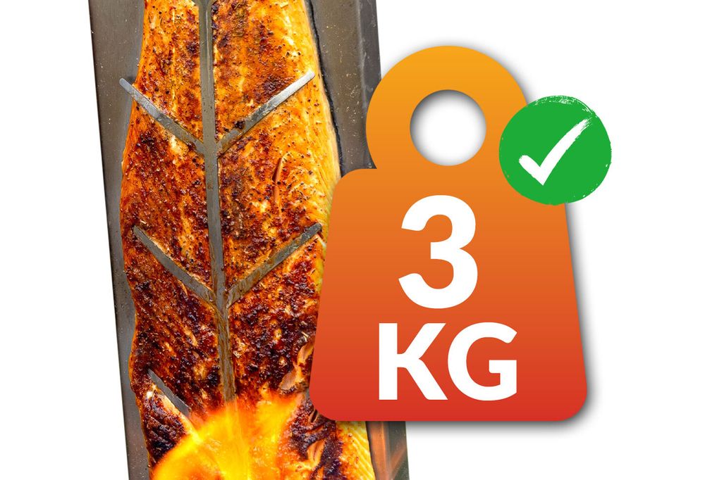 Premium Flammlachsbrett aus hochwertigem Edelstahl – 5-stufig verstellbar und um 180° drehbar