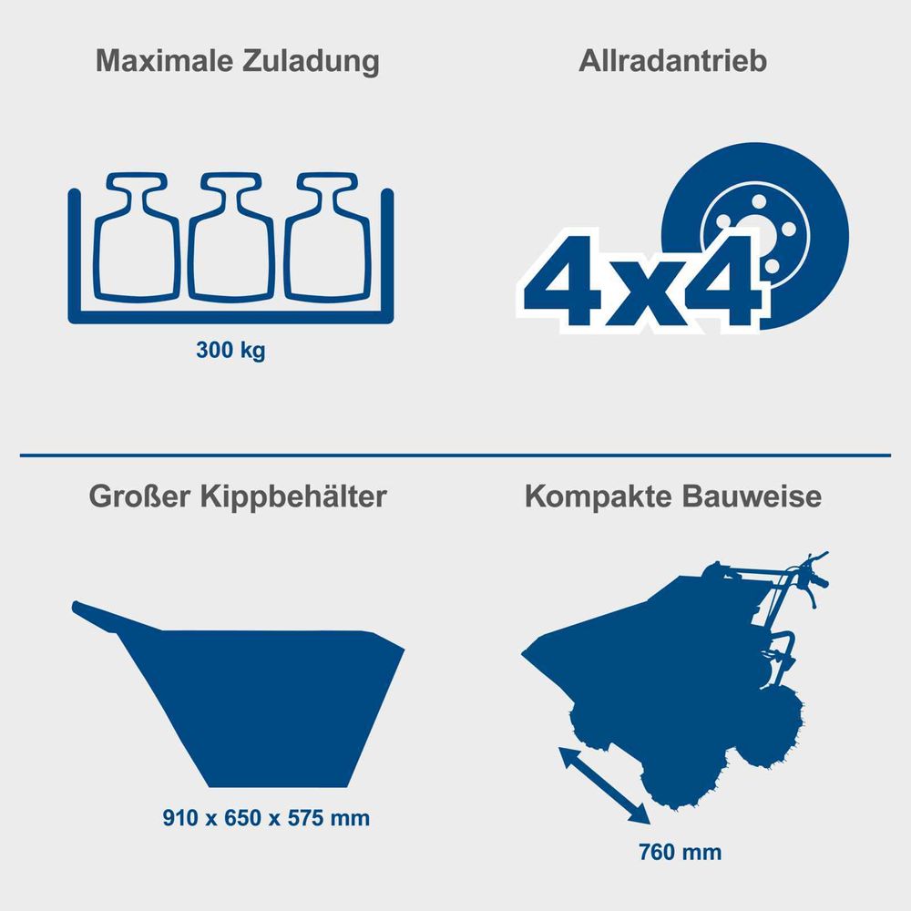 Das Bild zeigt die Keyfacts des Dumpers.