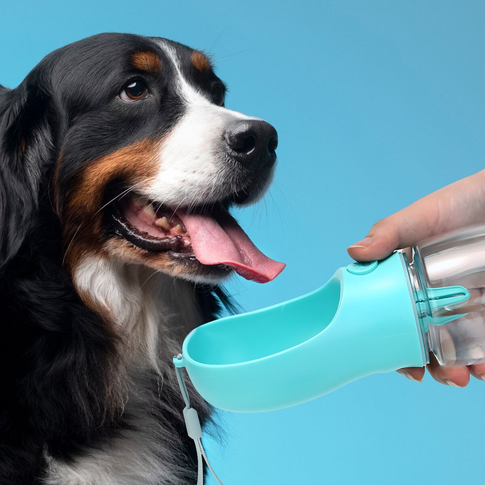 Tragbare Wasserflasche für Hunde Hund Hundewasserflasche Auslaufsicher Hundetrinkflasche Trinkflasche Haustier Auslaufsicher 350ml BPA-frei Retoo