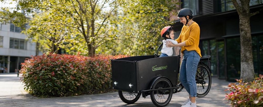 SachsenRAD E-Lastenrad T1, Flexible Transportbox mit Versteckter, LCD Display und StVZO-Zugelassung für Kindertransport, Shimano 7-Gang-Schaltung