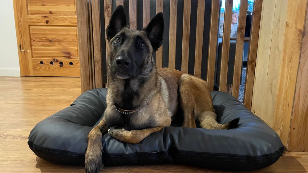 4L Textil ELLA Hundebett Leder Optik Hundekissen Kunstleder dunkelgrau Hundematte Kunstleder Hundebett grosse Hunde Kunstleder Liegekissen 110x90 cm