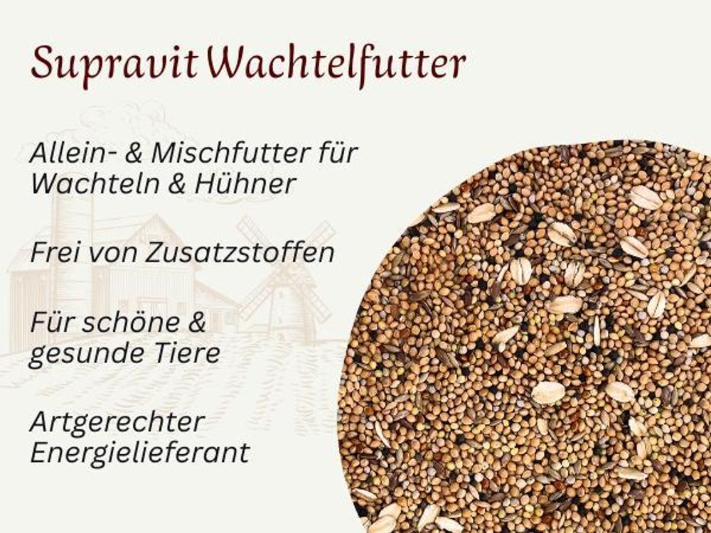 Fotografie des Futters