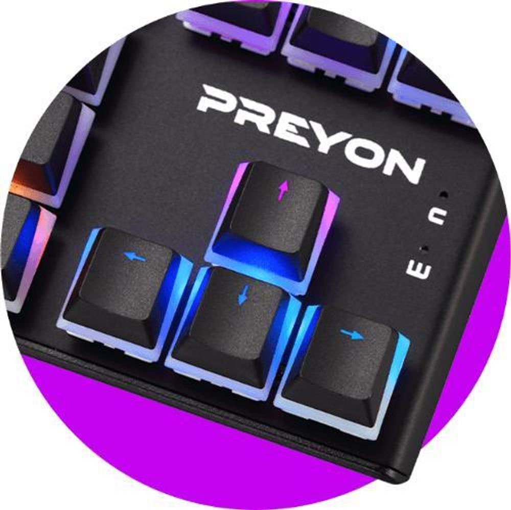 PREYON Brown Blitz Claw Gaming - Klawiatura mechaniczna TKL bez klawiszy numerycznych, przełączniki Gateron Brown, klawisze w kolorze "pudding", podświetlenie RGB, obudowa z aluminium, klawiatura PC, kolor czarny