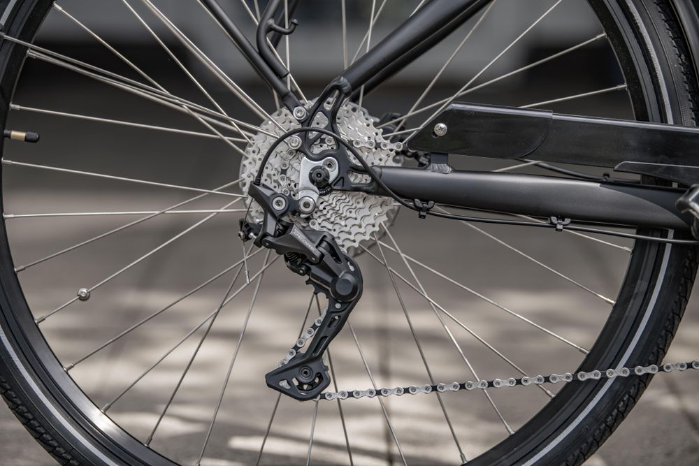 Saxonette E-Bike Mittelmotor mit 8 Gang Shimano Nabenschaltung StVZO Elektrofahrrad Pedelec Quantum Sport (Diamand) Rahmenhöhe 54 cm, Trekkingbike
