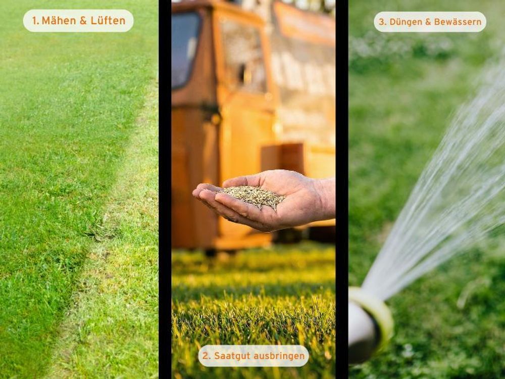 FUXTEC Rasensamen Spiel- & Sportrasen FX-RSSP5 | robuster Gartenrasen | hohe Keimfähigkeit | 5 kg für ca. 250 m²