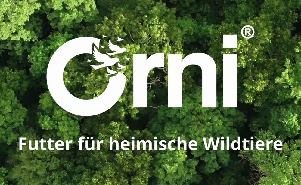 Logo und Claim auf Birdseyeview eines grünen Waldes