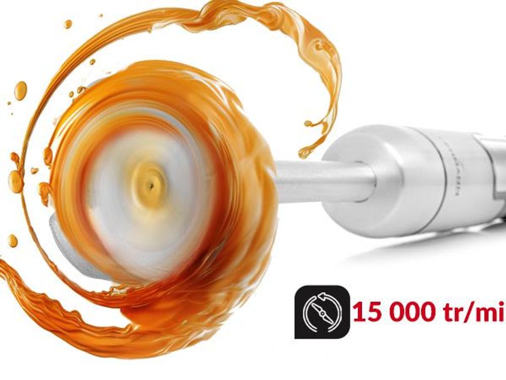 LEHMANN Mixeur Plongeant en Acier Inoxydable 1200W, 8 niveaux de vitesse, Accessoires inclus