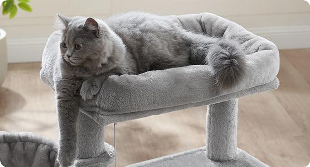 FEANDREA Kratzbaum 96cm mit Kuschelhöhle Kletterturm für Katzen Kratzbrett