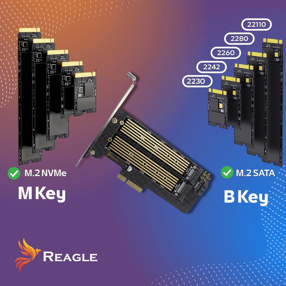 M.2 NVMe SATA SSD PCIe Erweiterungskarte Adapter 2in1 64Gbps für 2 Laufwerke gleichzeitig PCIe 4.0 Unterstützung 22110 2280 Windows Mac Linux Reagle
